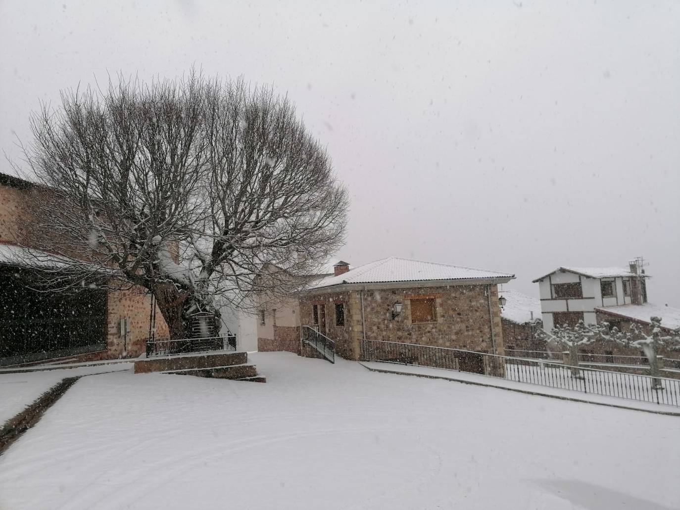 Tal y como anunció ayer la Aemet, los riojanos somos testigos hoy de la alerta amarilla por nieve