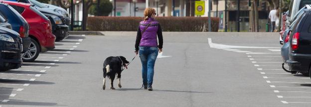 Una mujer pasea a su perro por las calles de Logroño. :: sonia tercero