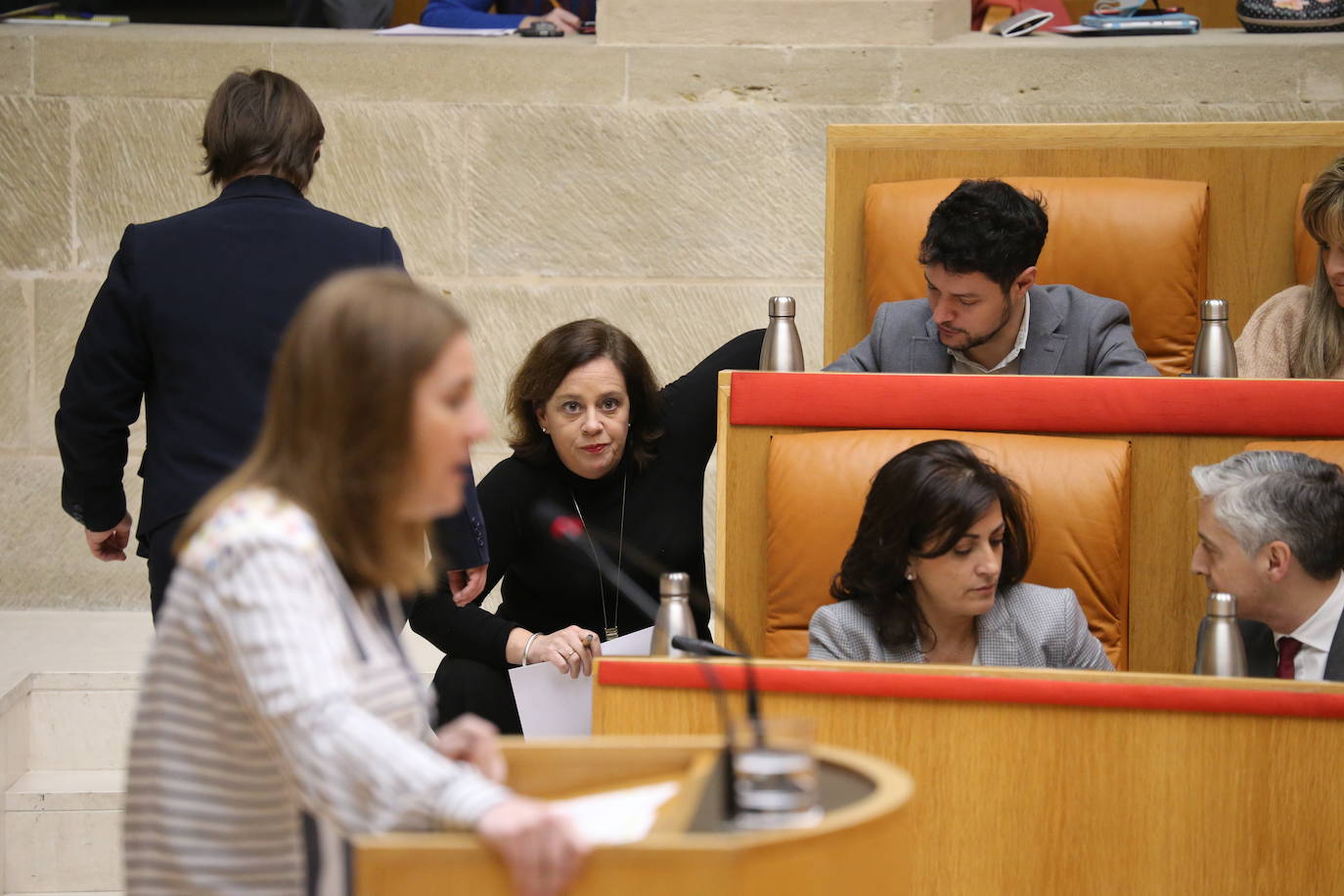 Fotos: Pleno del Parlamento de La Rioja (06/02/20)