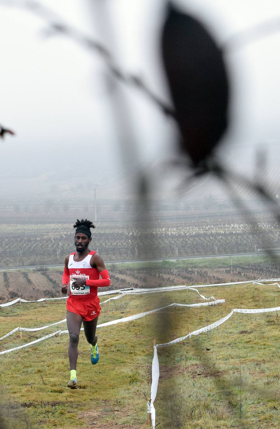 Fotos: El Campeonato Autonómico de campo a través, en imágenes