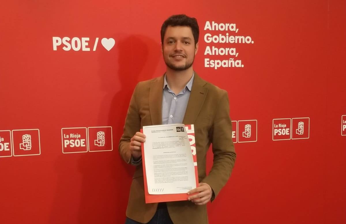 El portavoz del Grupo Parlamentario socialista, Raúl Díaz.