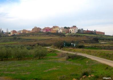 Imagen secundaria 1 - Camino de Logroño a Entrena, vista de Sojuela y pinar en el ascenso hasta el inicio del Jabalí