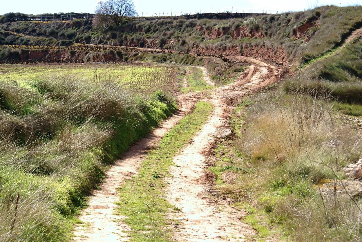 Camino rural najerino. 