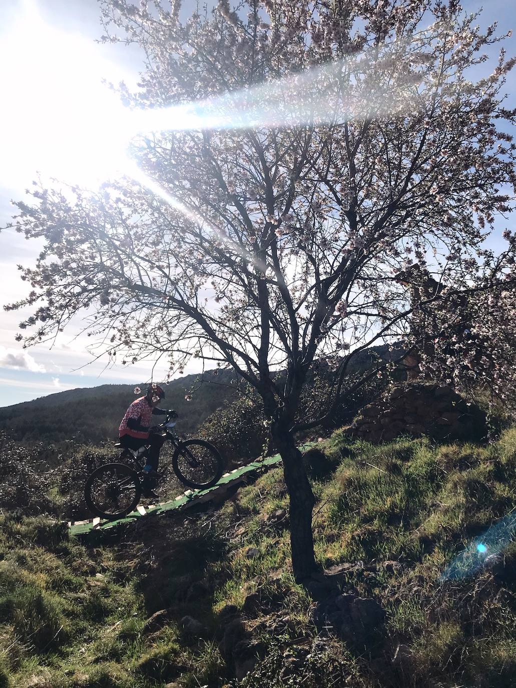Fotos: Medio millar de ciclistas se citan en Arnedo