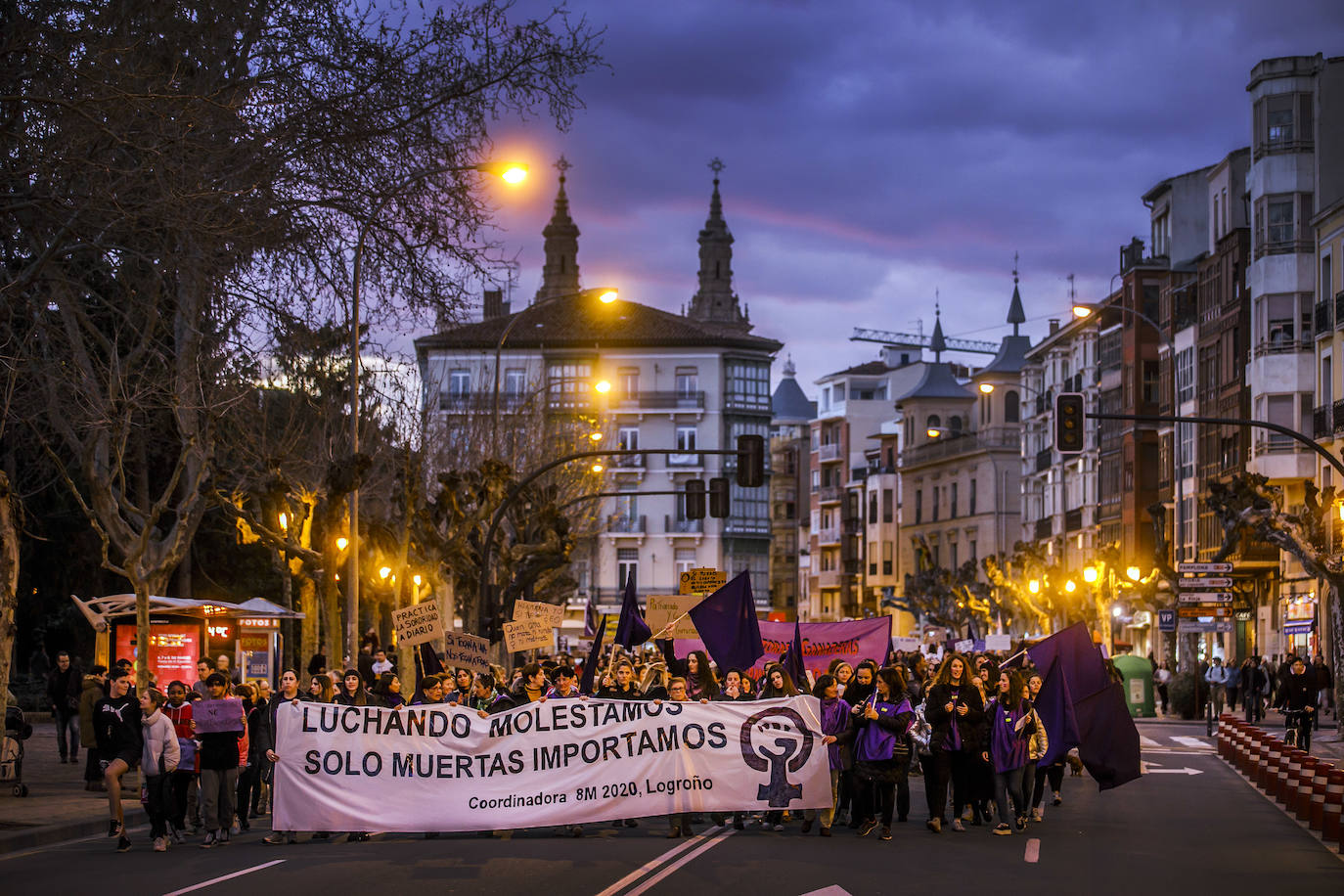 Fotos: 8M: Manifestación del Día Internacional de la Mujer en Logroño