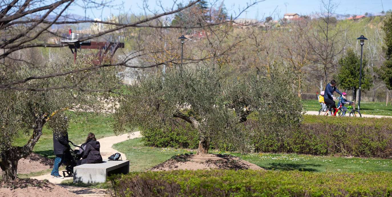 Fotos: Sábado atípico en Logroño por el coronavirus (I)