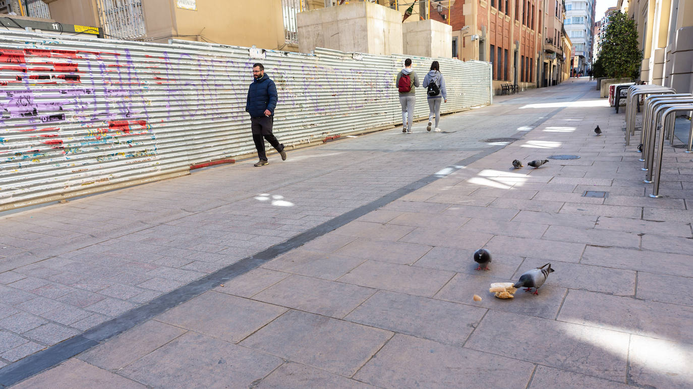 Fotos: Sábado atípico en Logroño por el coronavirus (I)