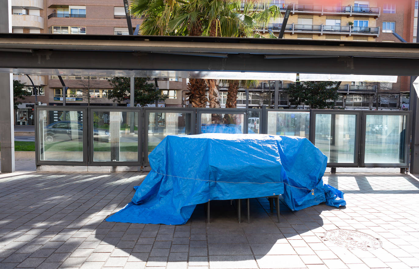 Fotos: Sábado atípico en Logroño por el coronavirus (I)