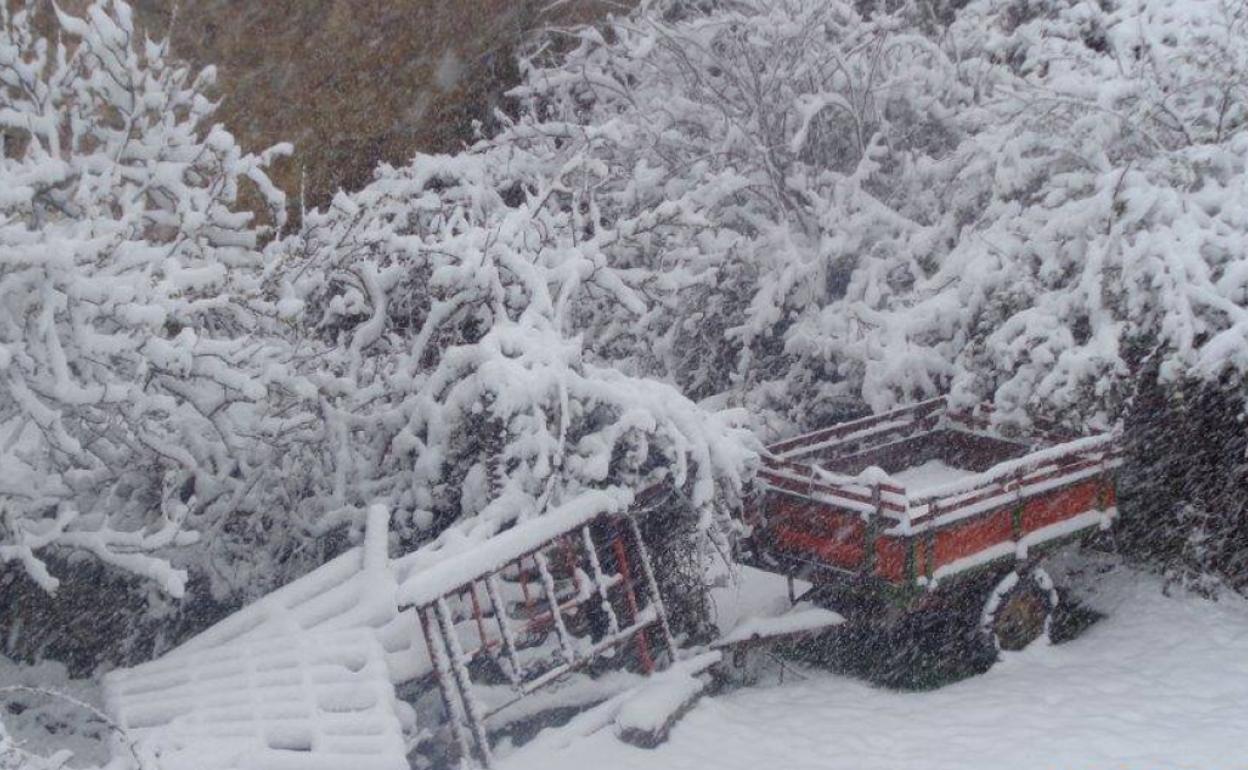 La magia blanca de la nieve en El Collado