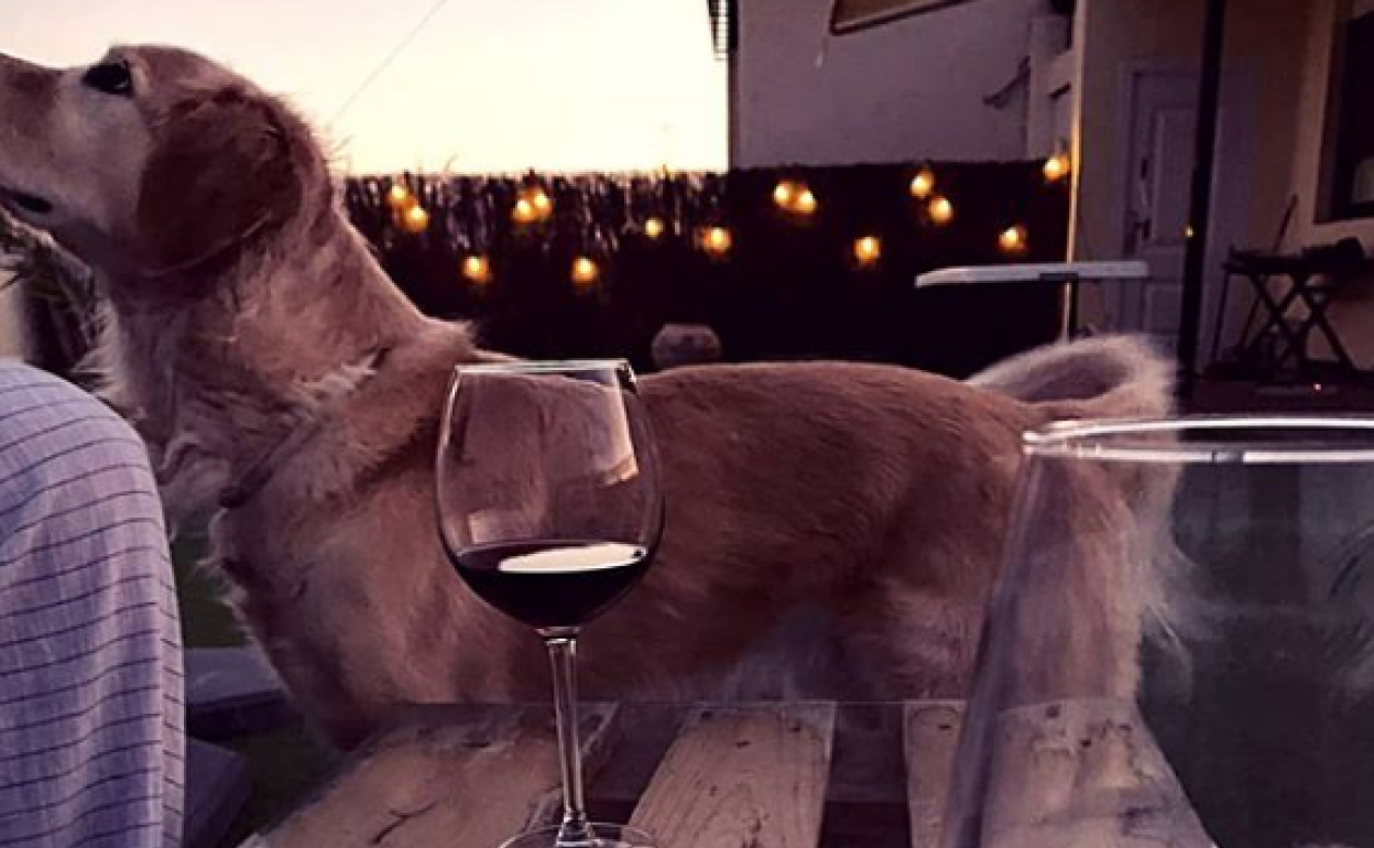 #brindoportusalud: en casa, pero con un Rioja