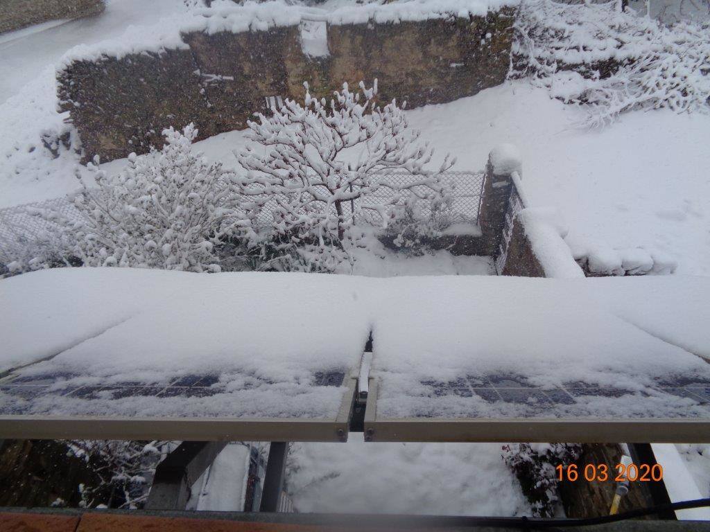 Fotos: La magia blanca de la nieve en El Collado