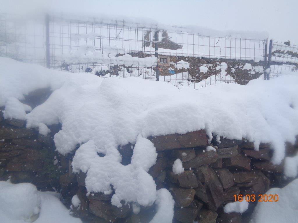 Fotos: La magia blanca de la nieve en El Collado