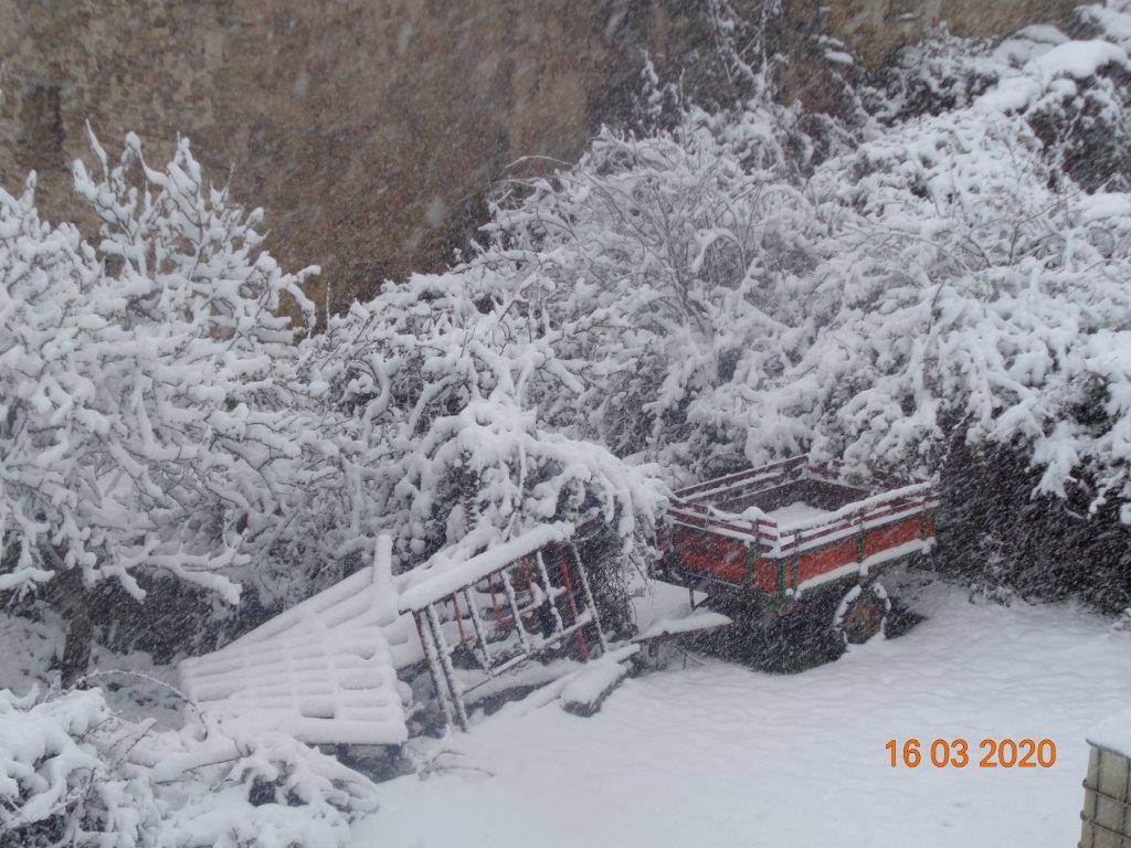 Fotos: La magia blanca de la nieve en El Collado