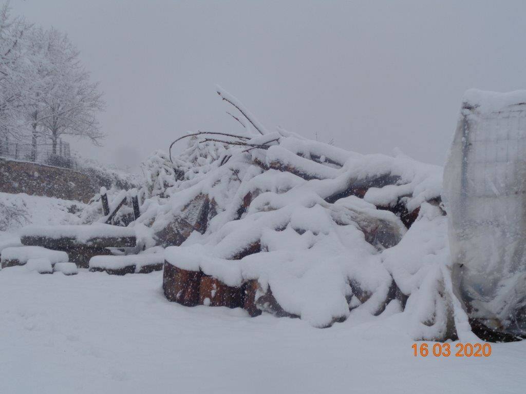 Fotos: La magia blanca de la nieve en El Collado