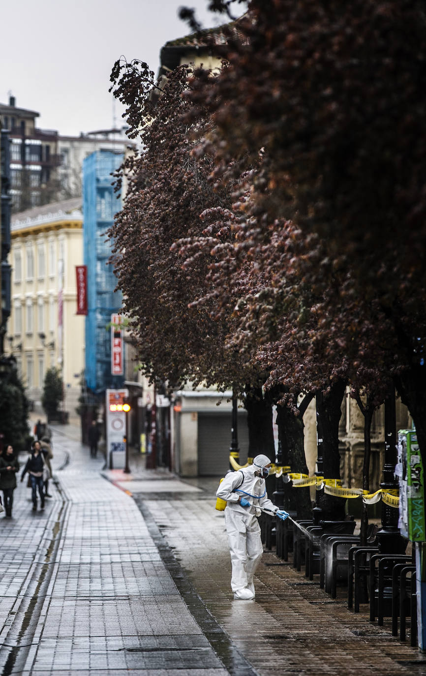 Fotos: La limpieza de la UME en Logroño