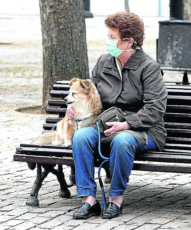 Una mujer con su perro en la Glorieta del Doctor Zubía. 