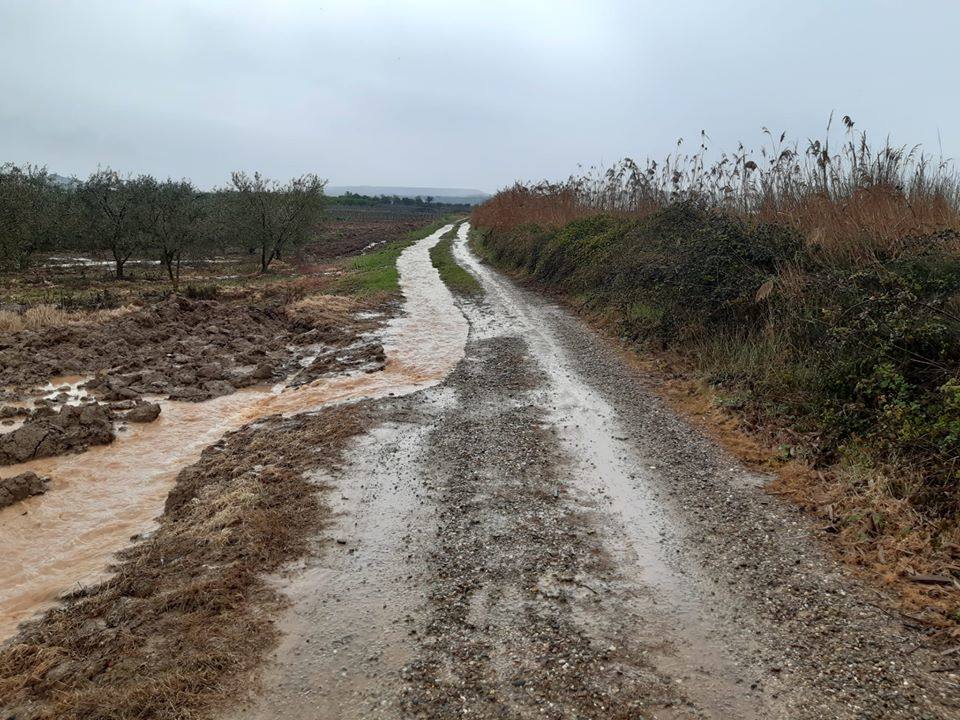 Fotos: La lluvia provoca inundaciones en el regadío de Corera