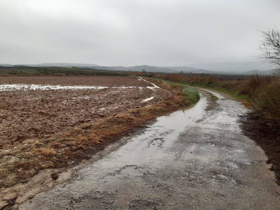 Fotos: La lluvia provoca inundaciones en el regadío de Corera