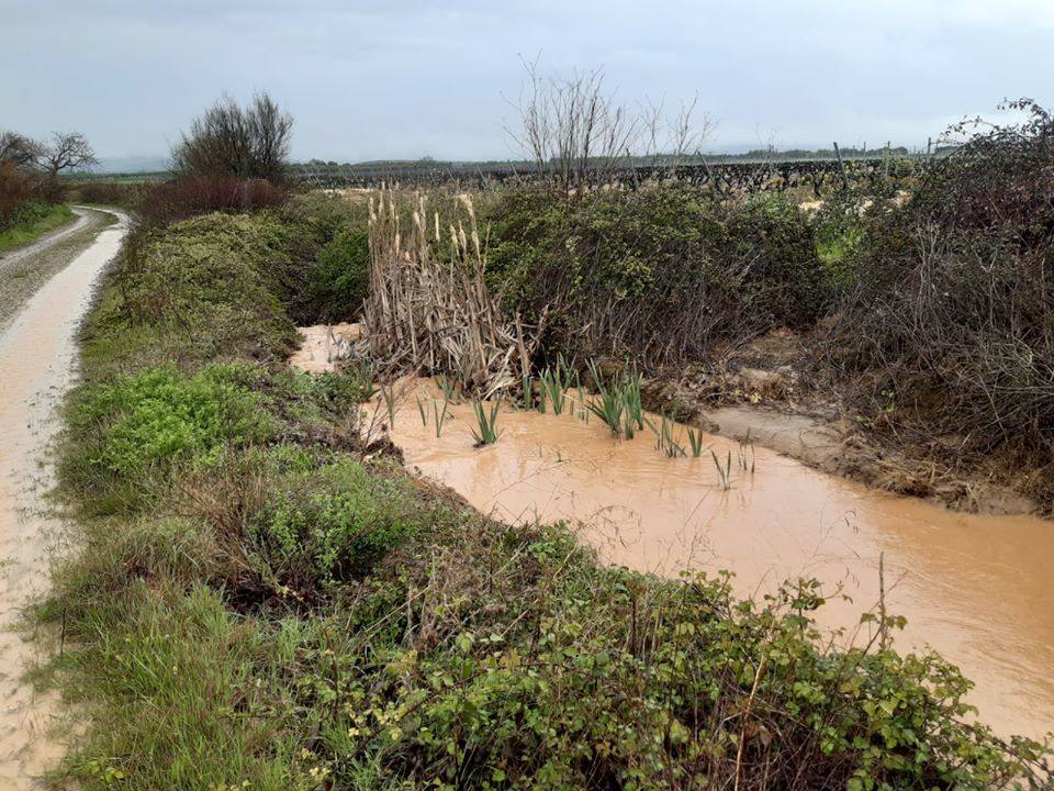 Fotos: La lluvia provoca inundaciones en el regadío de Corera