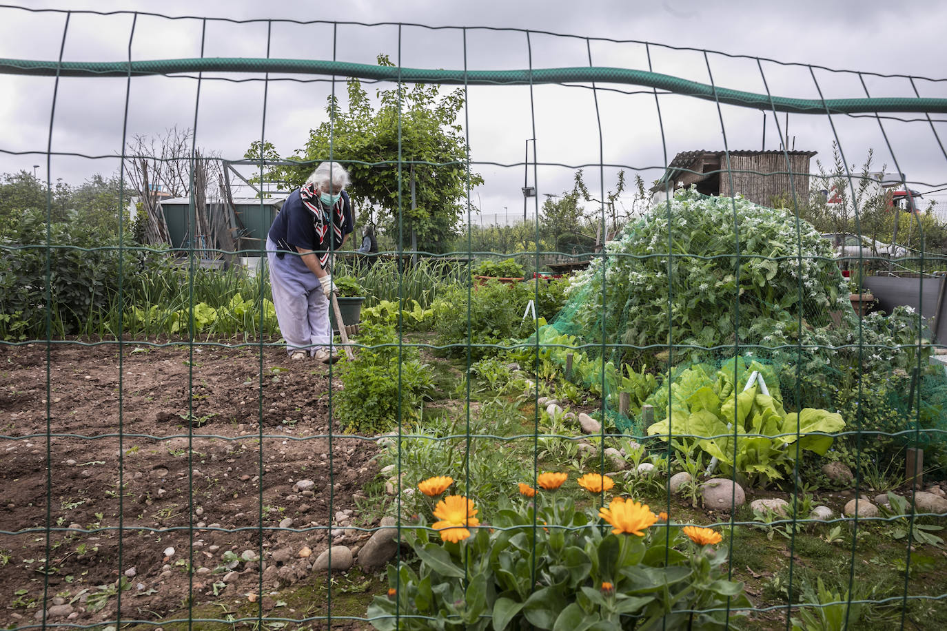 En Logroño, así se vivía este viernes la vuelta al cuidado de la tierra