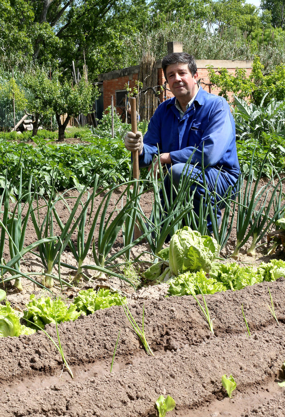 El regreso. Al final, la Administración atendió las demandas de los agricultores no profesionales para poder cultivar sus huertas 