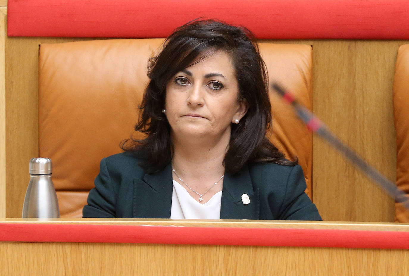 Este jueves se ha celebrado el Parlamento de La Rioja en el que ha comparecido la presidenta del Gobierno regional, Concha Andreu.