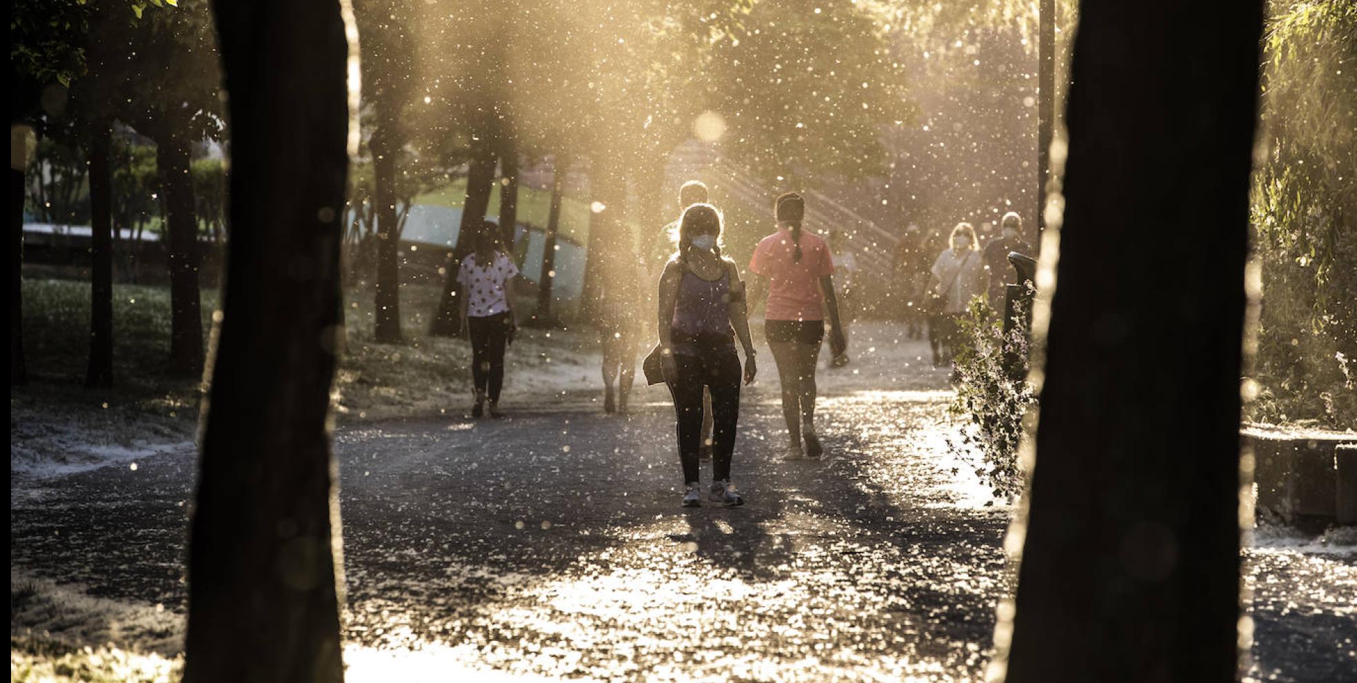 «La gente no tiene claras las normas»