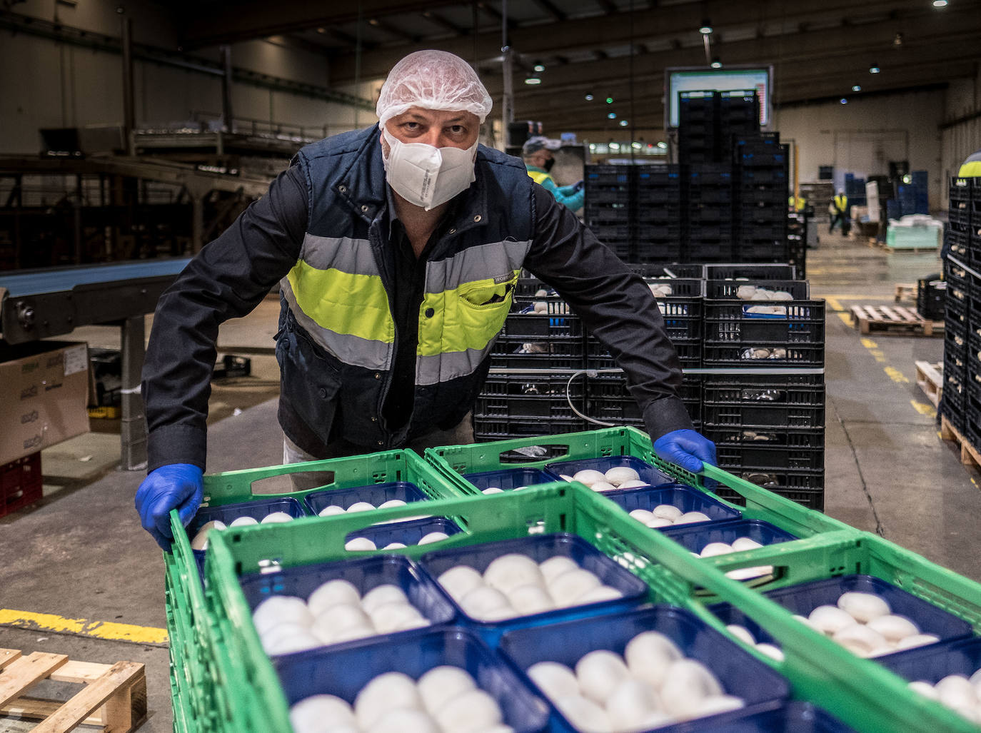 Cinco empresas riojanas forman parte de la unidad de productos frescos del grupo: Ayecue, Champifresh, Riofresh, Cultivos Riojal y Gercom