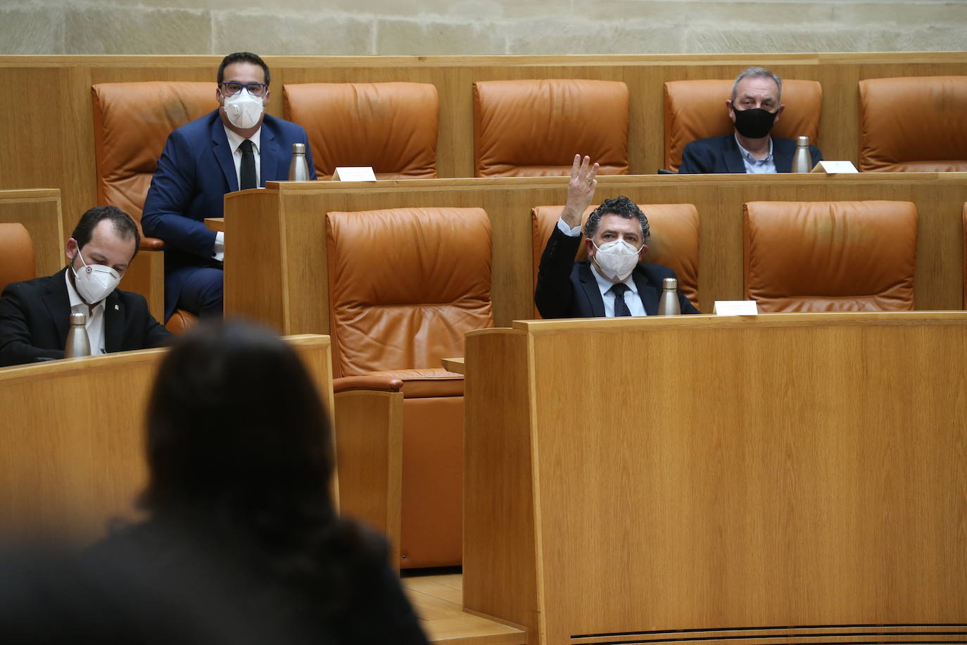 Fotos: La sesión de mayo del Parlamento riojano, en imágenes