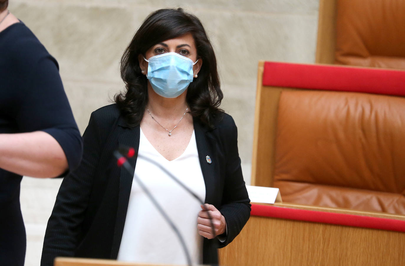 Fotos: La sesión de mayo del Parlamento riojano, en imágenes