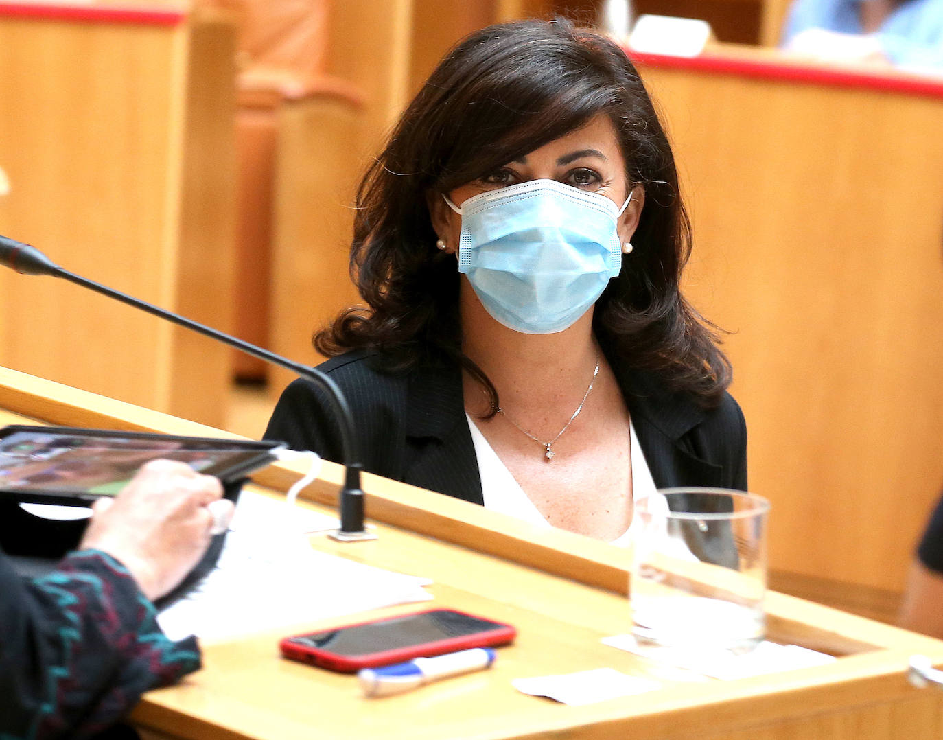 Fotos: La sesión de mayo del Parlamento riojano, en imágenes