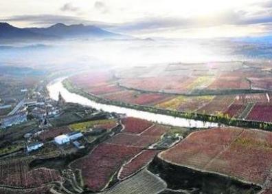 Imagen secundaria 1 - Arriba, las amapolas enmarcan el puente de Briñas. Abajo a la izquierda, el espectacular meandro del Ebro, flanqueado por viñedos. Abajo a la derecha, Ruinas en Tondón.