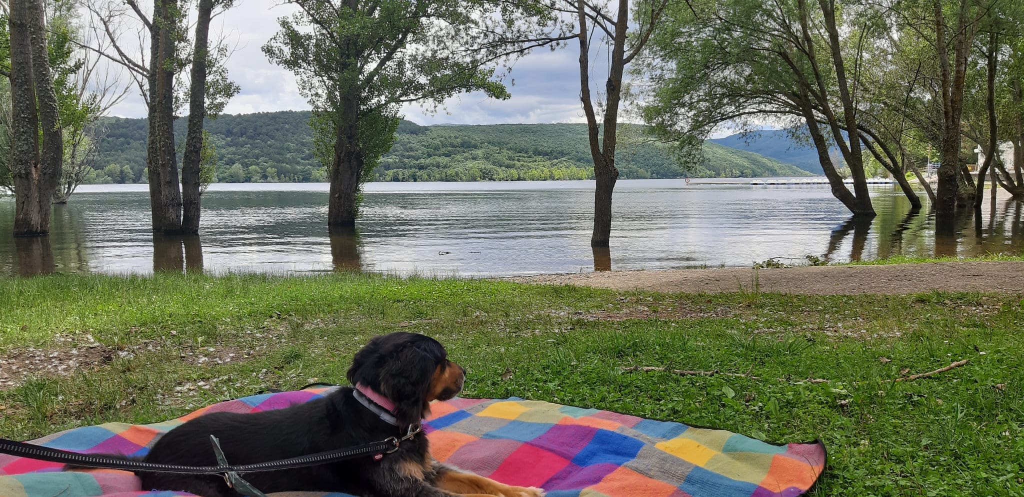 El embalse estrena un espacio delimitado para las mascotas. 