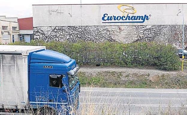 Las cifras que muestran el peso crucial del sector del champiñón en la economía riojana