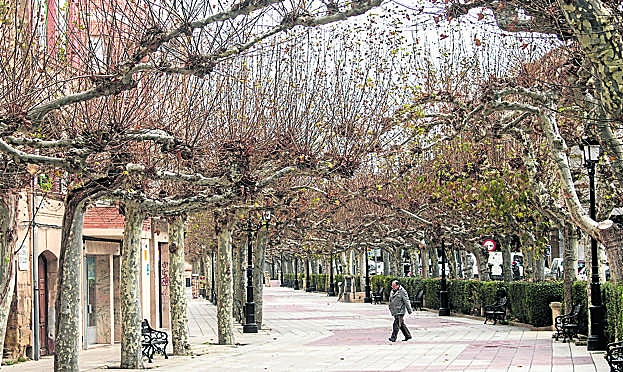 Imagen principal - Santo Domingo, Zarratón y Haro forman el «triángulo» de localidades favoritas de Ana Ibáñez; donde ha pasado su infancia