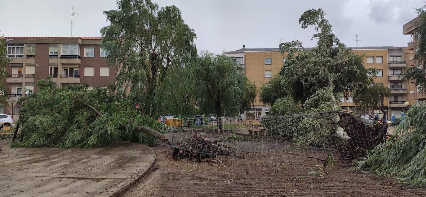 Los efectos de la tormenta se dejan ver en las calles de la ciudad