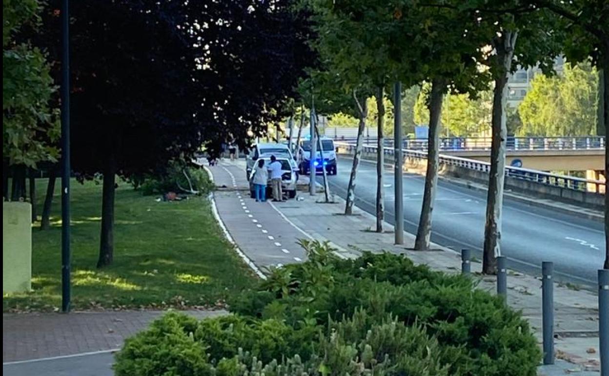 Un coche derriba un árbol en Logroño