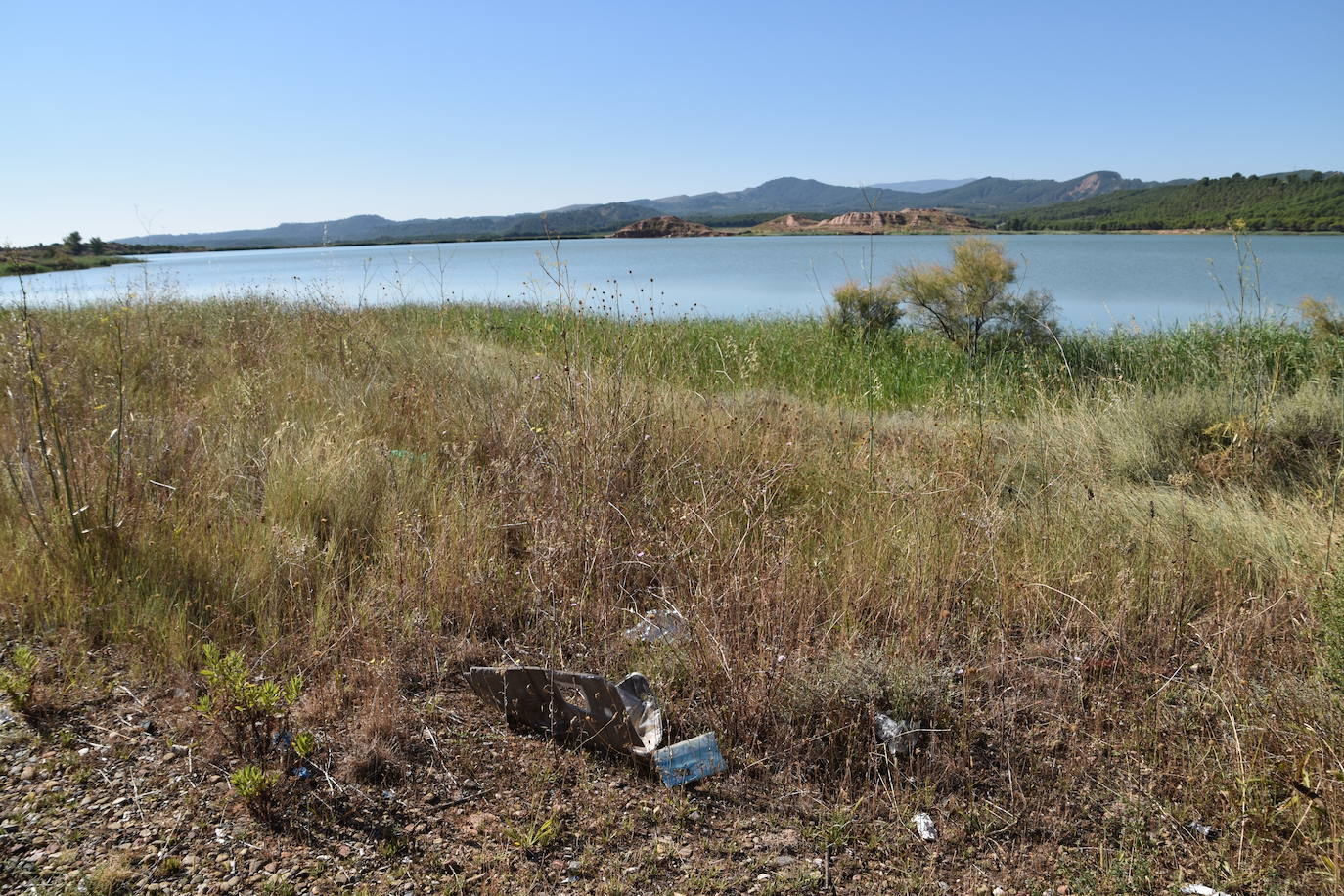 El Consejo de la Juventud de Calahorra organizó ayer el 'Reto verde' para limpiar el entorno del pantano del Perdiguero