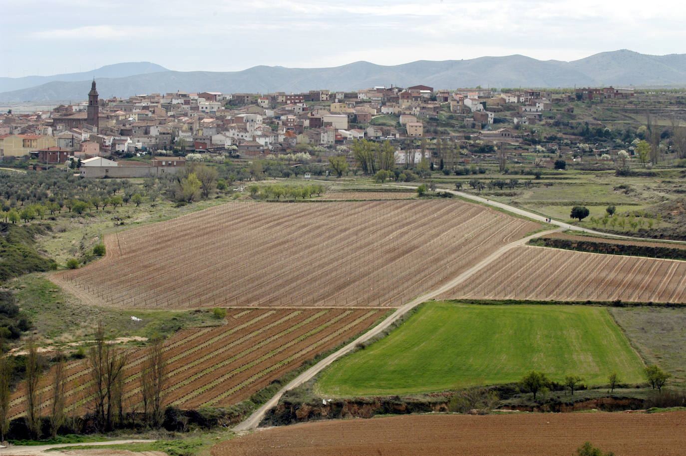 Vista de Tudelilla. 