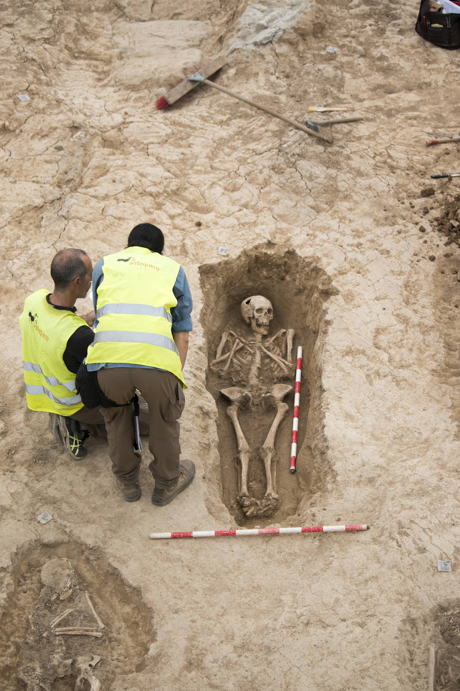 El origen de este hallazgo son los trabajos arqueológicos previos al desdoblamiento de la carretera N-120