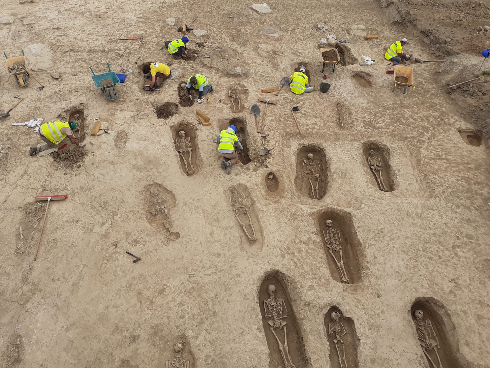 El origen de este hallazgo son los trabajos arqueológicos previos al desdoblamiento de la carretera N-120