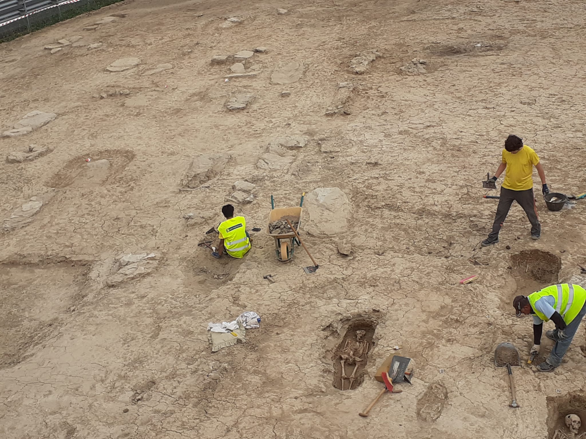 El origen de este hallazgo son los trabajos arqueológicos previos al desdoblamiento de la carretera N-120