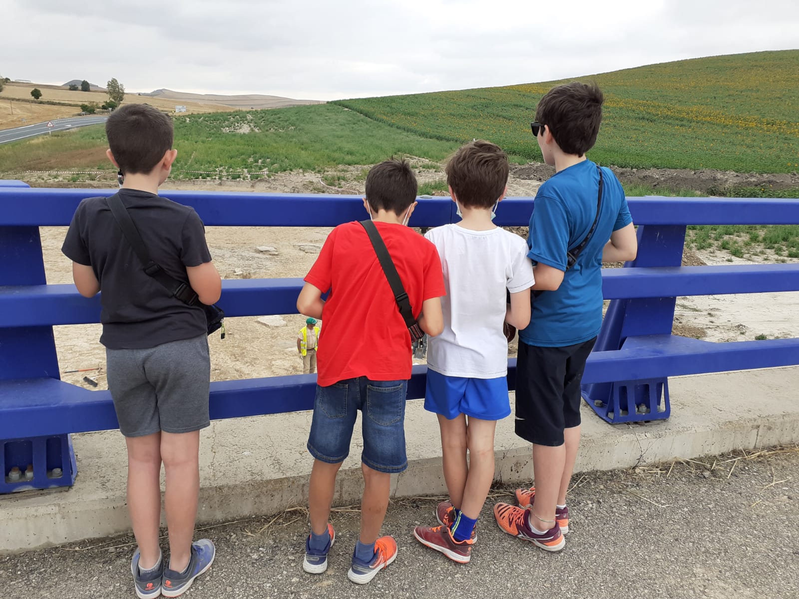 El origen de este hallazgo son los trabajos arqueológicos previos al desdoblamiento de la carretera N-120