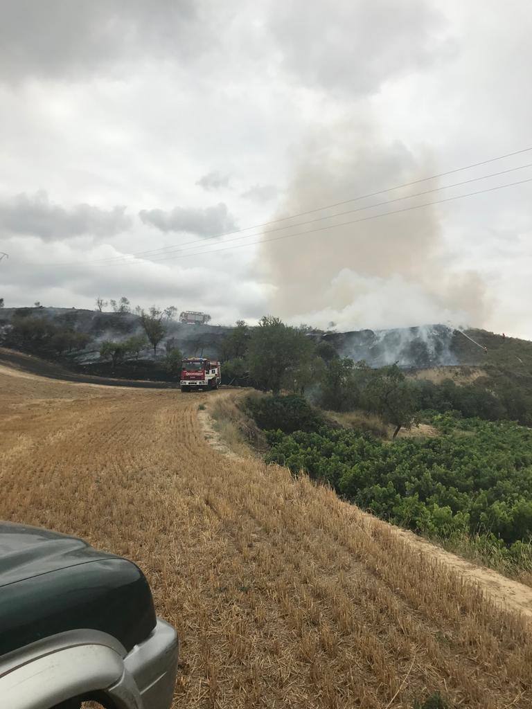 Este domingo se ha producido un incendio agrario que ha sido controlado a alrededor de las cuatro de la tarde