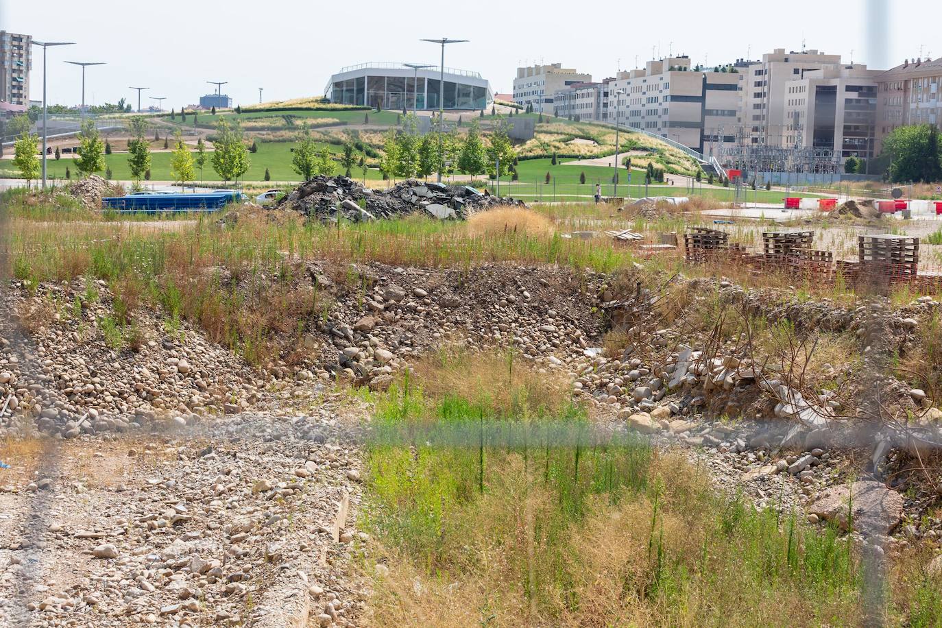 Fotos: El cuidado de los jardines de Logroño, en tela de juicio