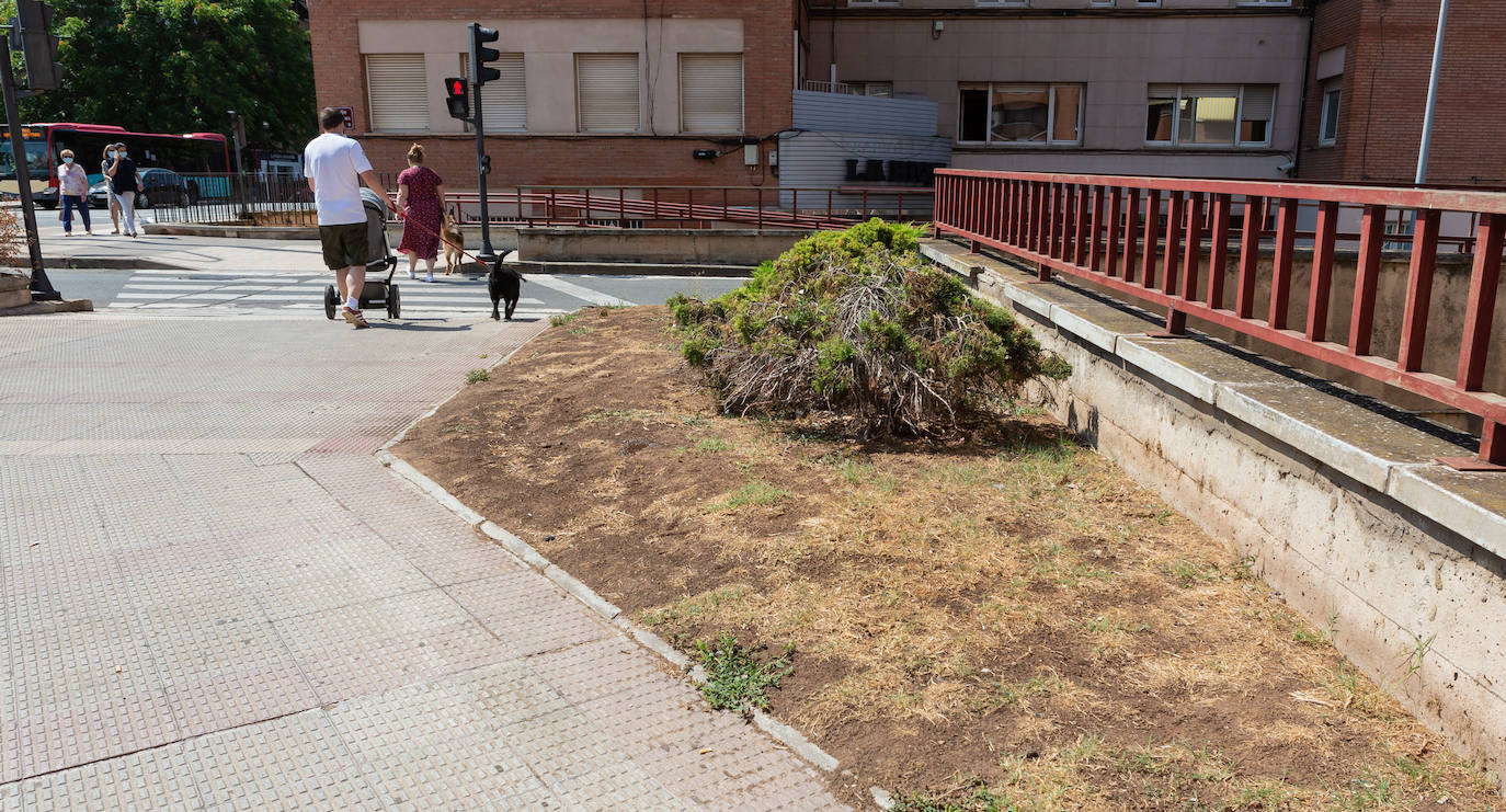 Fotos: El cuidado de los jardines de Logroño, en tela de juicio