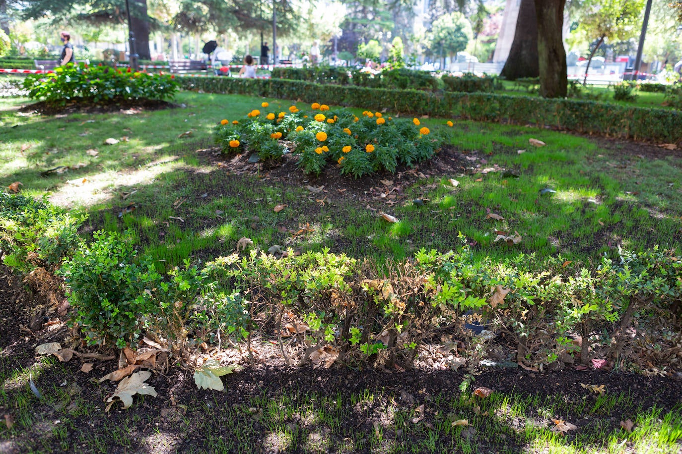 Fotos: El cuidado de los jardines de Logroño, en tela de juicio