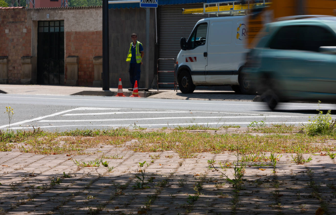 Fotos: El cuidado de los jardines de Logroño, en tela de juicio