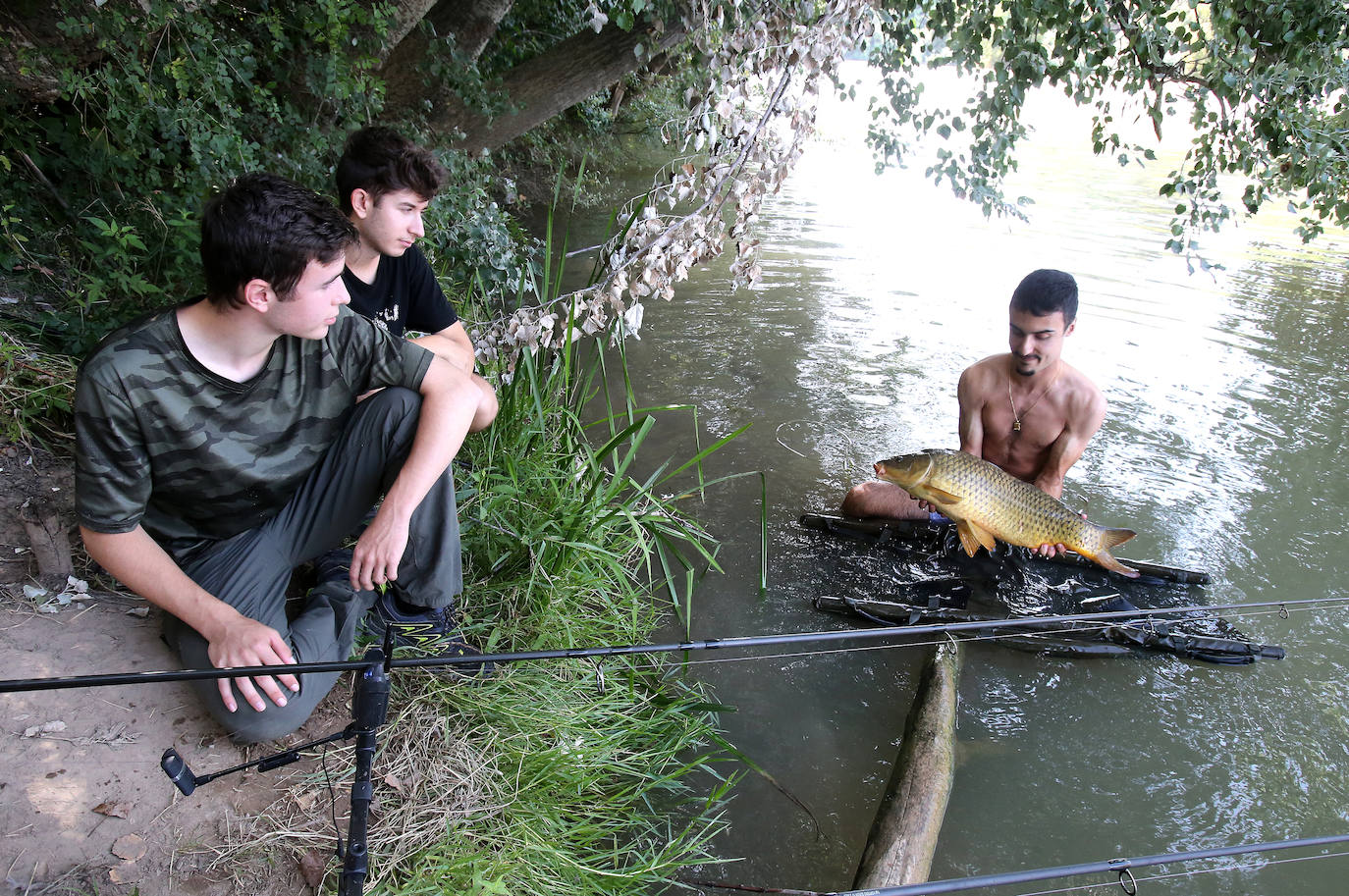 Pesca en el Ebro