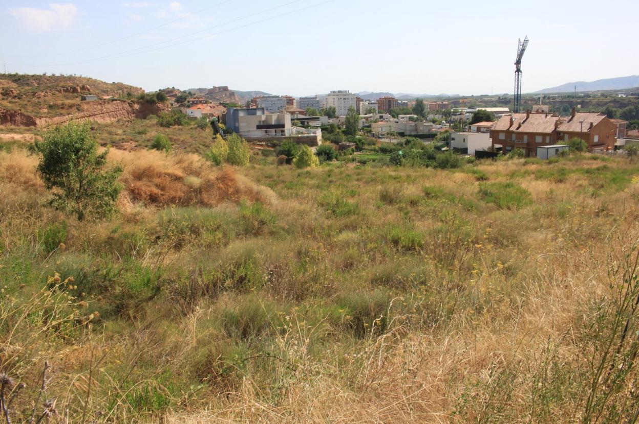 Los terrenos del sector residencial 1, en la salida de Arnedo hacia Herce, acumulan hierbas desde hace una década a la espera de una solución. 